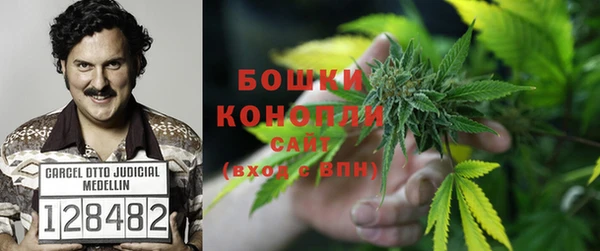 тгк Гусь-Хрустальный