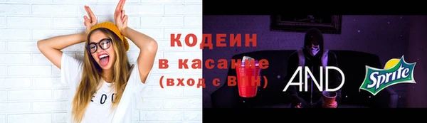 тгк Гусь-Хрустальный