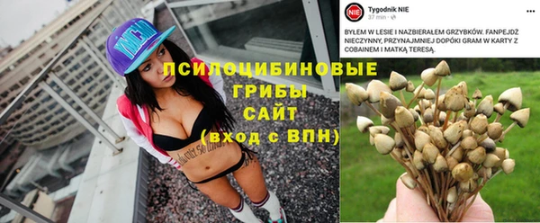 метамфетамин Гусиноозёрск