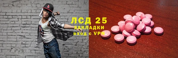 прущие крисы Гусев